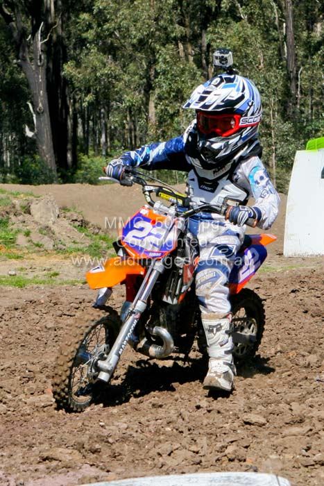 445x677 pixels (95K)